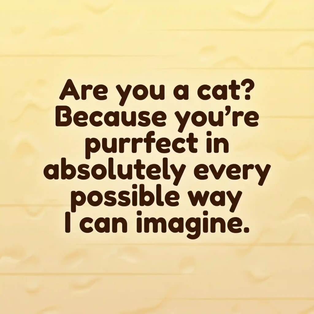 Cheesy Pick Up Lines